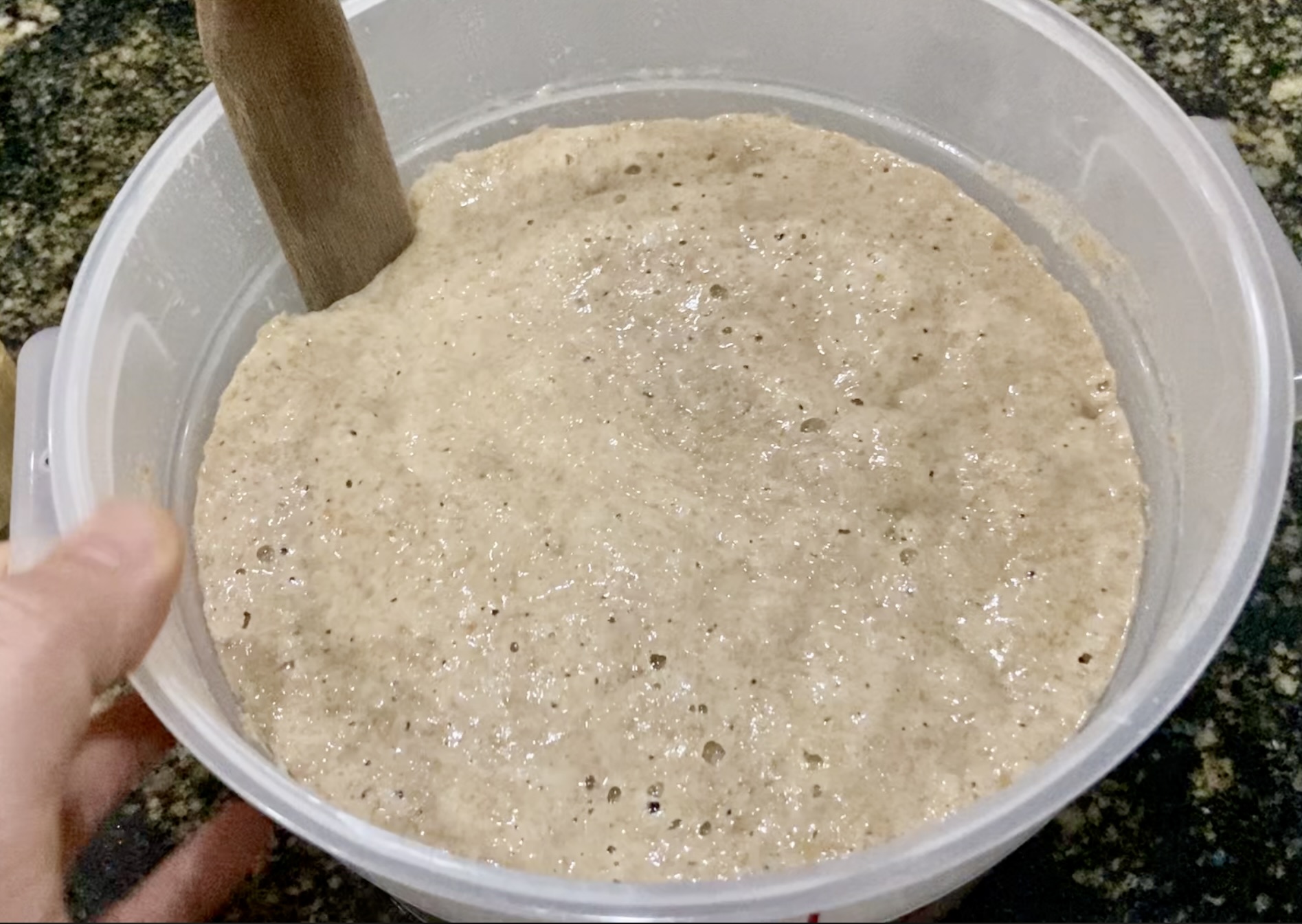 Sourdough starter in a 2 quart plastic container